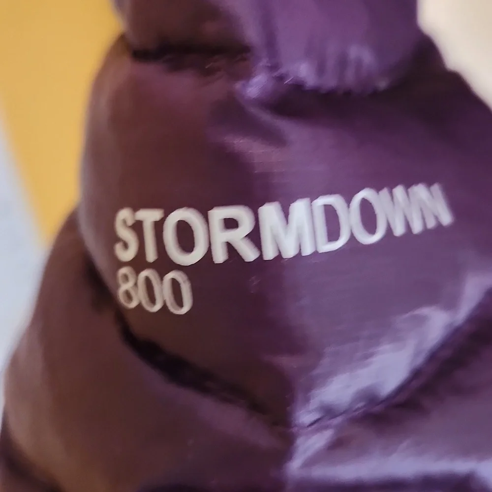 Eddie Bauer first Ascent down jacket size small - Picture 3 of 7